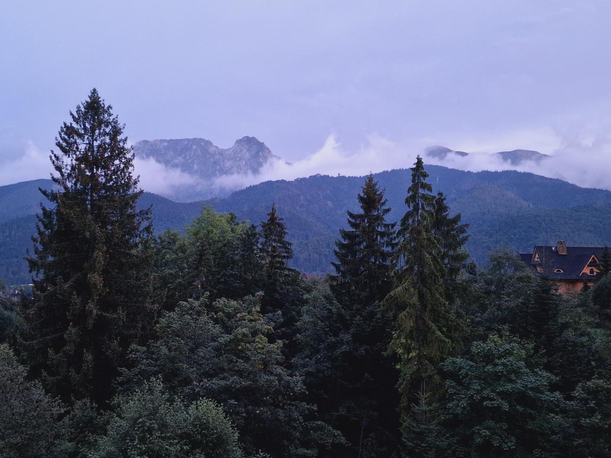 Zakoapartamenty Butorowy Residence Kościelisko Dış mekan fotoğraf